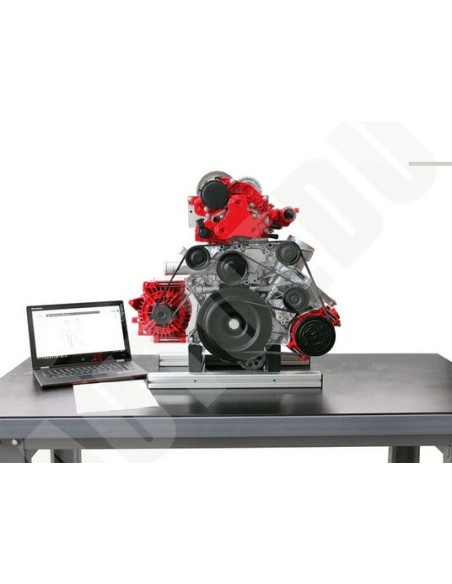 IVDD-CR02 Modelo Seccionado de Motor Diesel Common Rail DOHC