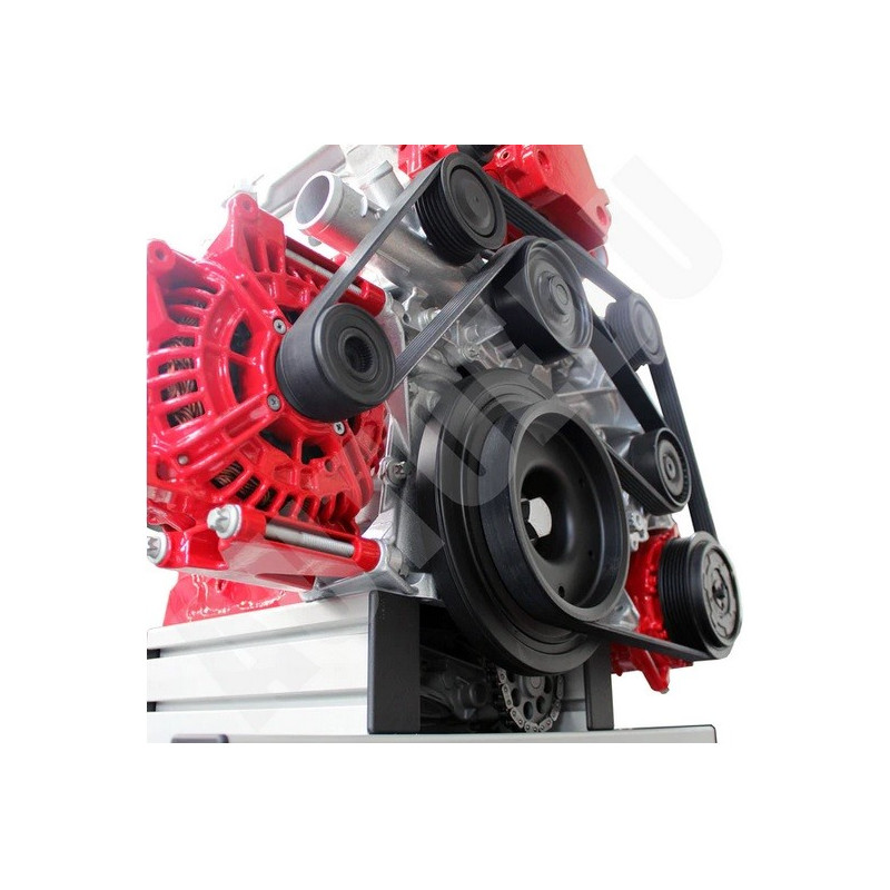 IVDD-CR02 Modelo Seccionado do Motor Diesel Comum do Trilho de DOHC