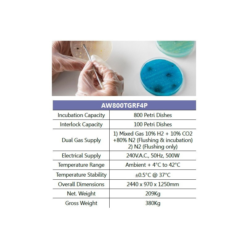 Munro AW800TGRF4P Câmara Anaeróbica/Estação de Trabalho: 4 luvas, para 800 placas de Petri