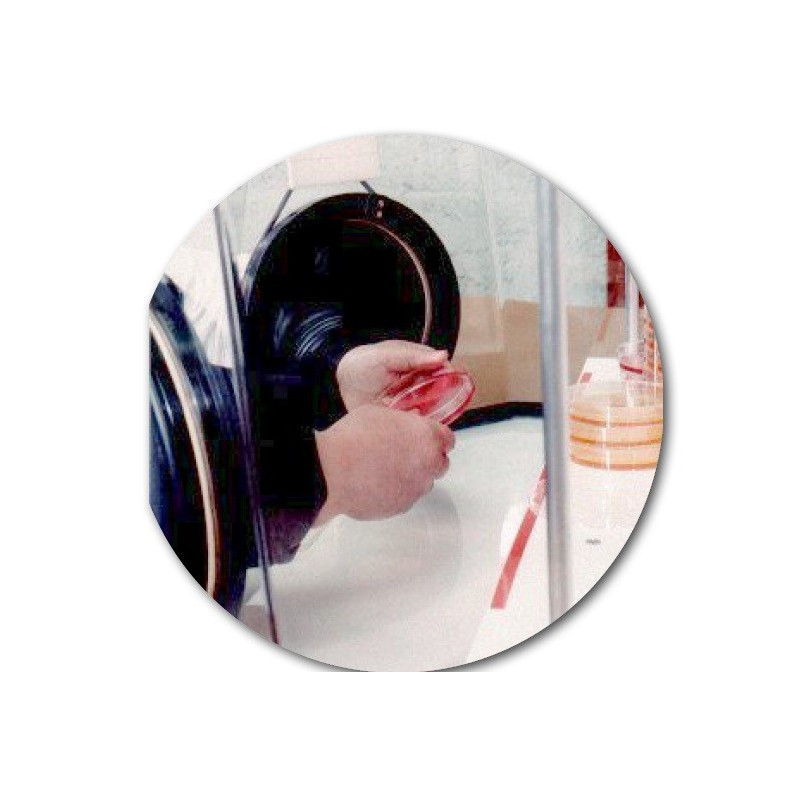 Munro AW300SG Estação de trabalho anaeróbica - 2 luvas, 300 placas de Petri