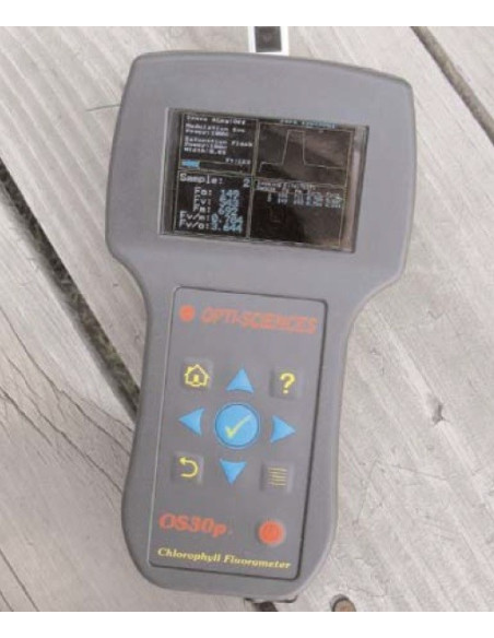 OS-30p+ Handheld continuous fluorometer