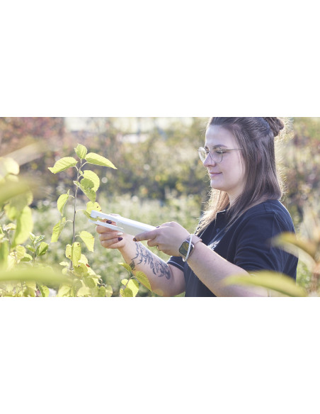 Walz LSA-2050 Analizador de estado de Hoja