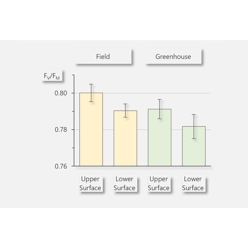 Walz LSA-2050 Leaf-State-Analyzer