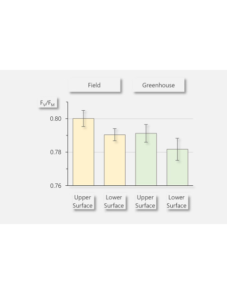 Walz LSA-2050 Leaf-State-Analyzer