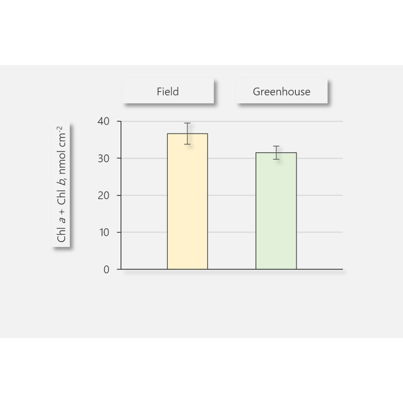 Walz LSA-2050 Analizador de estado de Hoja