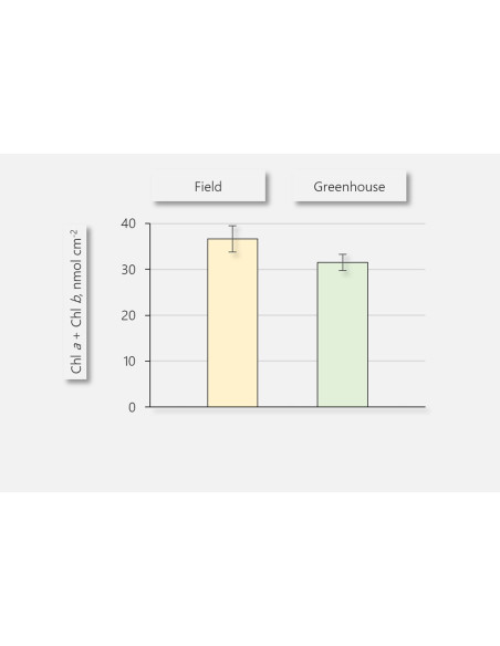 Walz LSA-2050 Analizador de estado de Hoja
