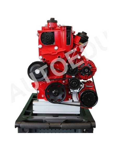 AutoEDU IVDB03 Entrenador Educativo de Motor gasolina DOHC ½ corte