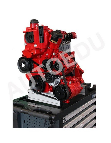 AutoEDU IVDB03 Entrenador Educativo de Motor gasolina DOHC ½ corte