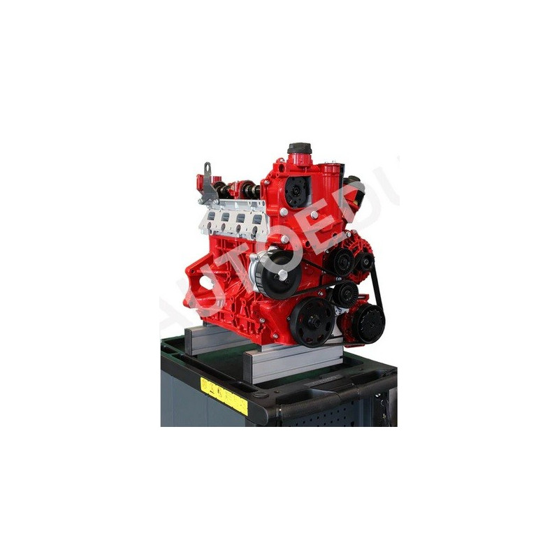 AutoEDU IVDB03 Petrol DOHC engine ½ cutaway Educational Trainer