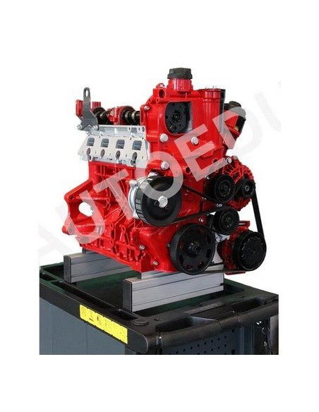 AutoEDU IVDB03 Entrenador Educativo de Motor gasolina DOHC ½ corte