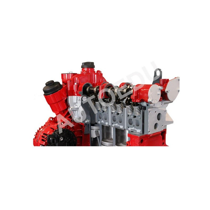 AutoEDU IVDB03 Entrenador Educativo de Motor gasolina DOHC ½ corte