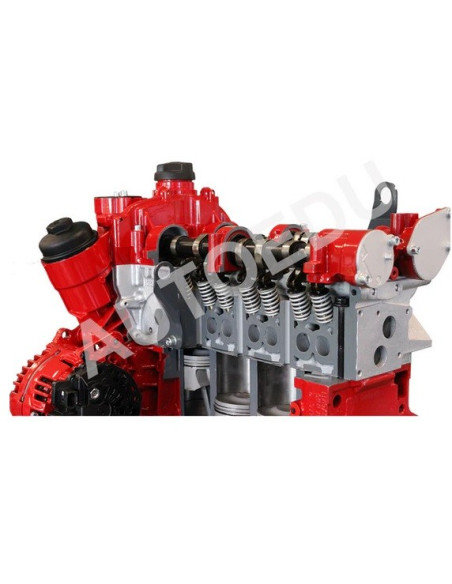 AutoEDU IVDB03 Entrenador Educativo de Motor gasolina DOHC ½ corte