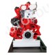 AutoEDU IVDB03 Petrol DOHC engine ½ cutaway Educational Trainer