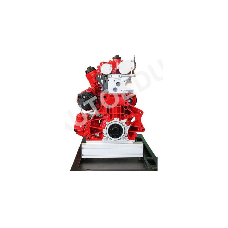 AutoEDU IVDB03 Petrol DOHC engine ½ cutaway Educational Trainer
