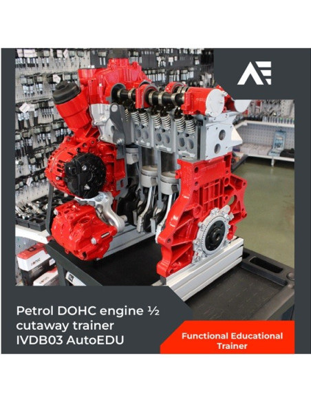 AutoEDU IVDB03 Entrenador Educativo de Motor gasolina DOHC ½ corte