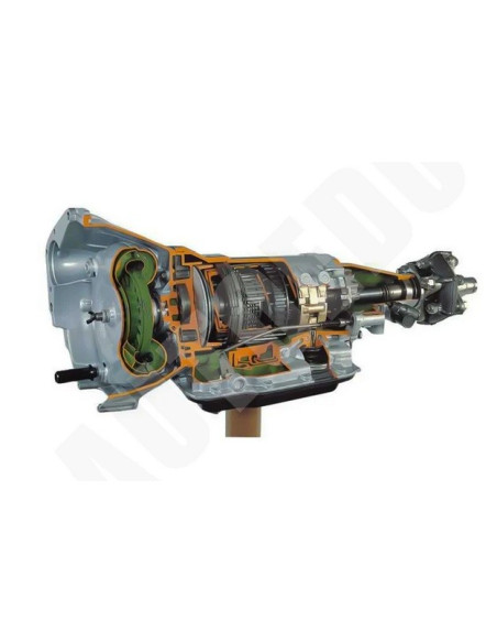 AutoEDU AE411040M Entrenador educativo seccionado de Transmisión Automática