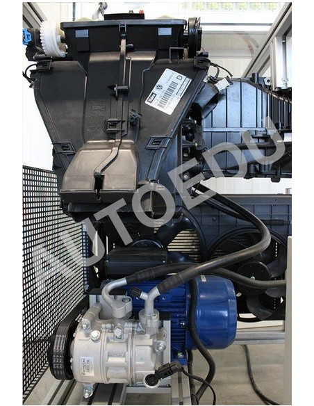 AtoEDU MSC05 Entrenadora educativa