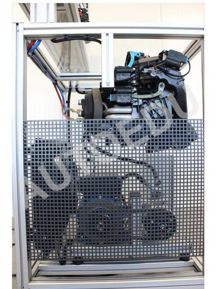 AtoEDU MSC05 Entrenadora educativa