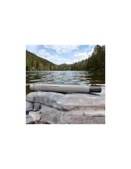 Sensor de Oxígeno Disuelto HOBO MX
