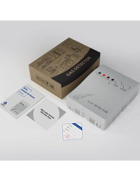 BH-H5 Domestic Gas Alarm