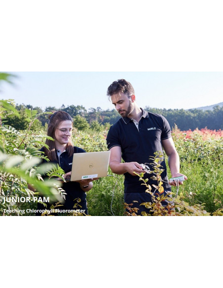 Compact Fluorometer WALZ