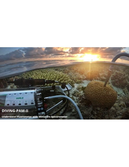 DIVING-PAM-II com Espectrômetro Miniatura MINI-SPEC