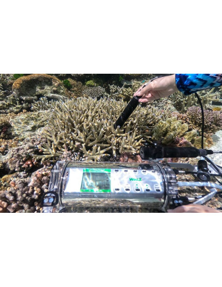 DIVING-PAM-II com Espectrômetro Miniatura MINI-SPEC