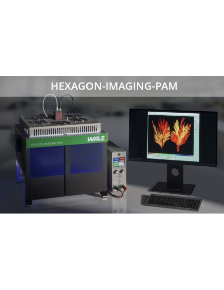 Walz HEXAGON-IMAGING-PAM