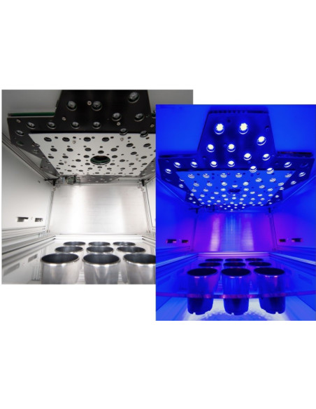 Walz HEXAGON-IMAGING-PAM