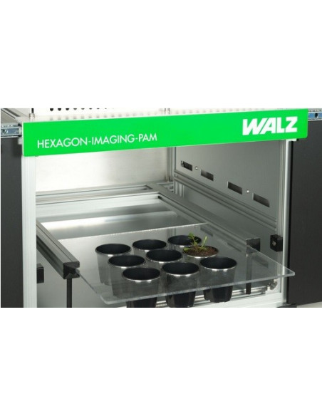 Walz HEXAGON-IMAGING-PAM