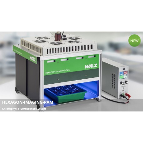 Walz HEXAGON-IMAGING-PAM - Measurement of seedlings in a tray