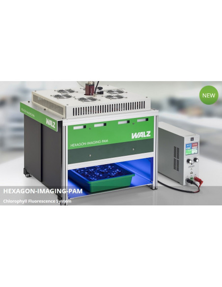 Walz HEXAGON-IMAGING-PAM - Medida de plántulas en una bandeja.