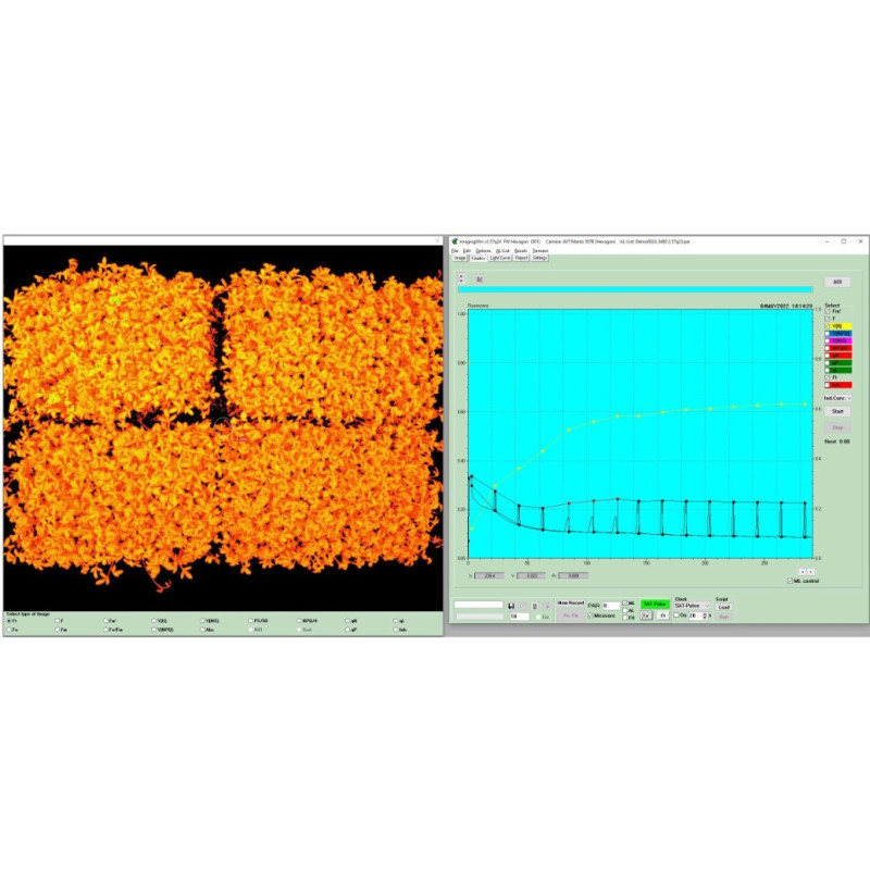 Walz HEXAGON-IMAGING-PAM