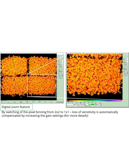 Walz HEXAGON-IMAGING-PAM
