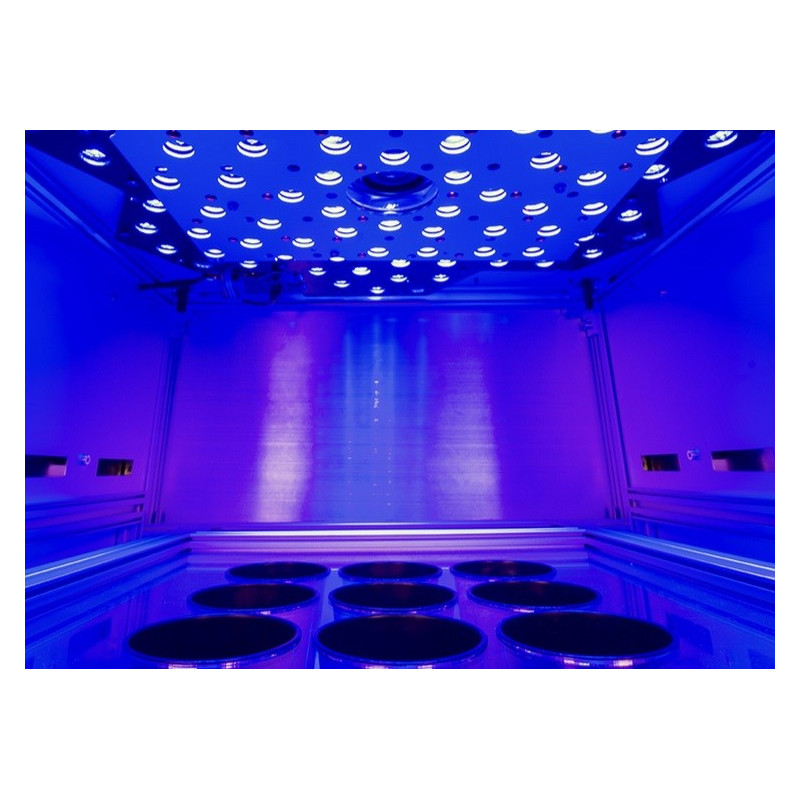 Walz HEXAGON-IMAGING-PAM - Cámara de muestra durante la iluminación