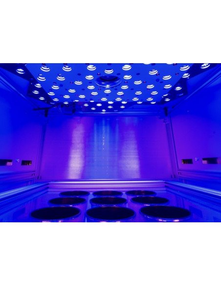 Walz HEXAGON-IMAGING-PAM - sample chamber during illumination