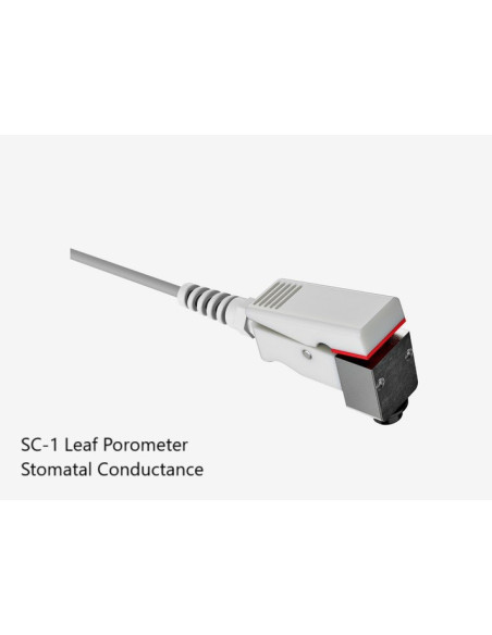 SC-1 Porometer to measure the stomatal conductance