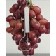 DF4 Fruit and Vegetable Dendrometer (0 to 2.2 cm)