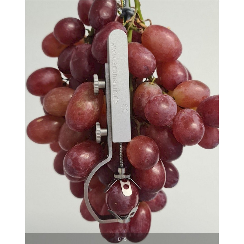 DF4 Dendrómetro para Frutas y Vegetales (10 a 2.2 cm)