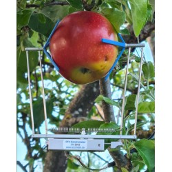 DF-series Dendrometer for Fruits and Vegetables (Diameter 0-11 cm)