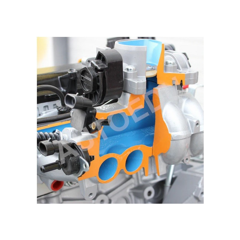 AutoEDU AE45275E Treinador Educativo para Motor MPI a Gasolina (gasolina) com chassis e sistema de travagem de trabalho