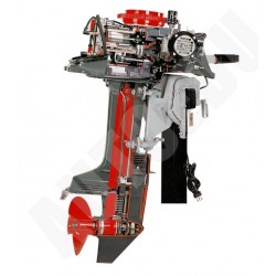 AutoEDU AE37900M Marine outboard engine 2 strokes cutaway Educational Trainer