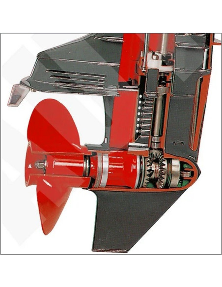 AutoEDU AE37900M Motor fueraborda marino de 2 tiempos, corte transversal, formador educativo