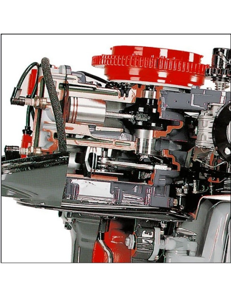 AutoEDU AE37900M Motor fueraborda marino de 2 tiempos, corte transversal, formador educativo
