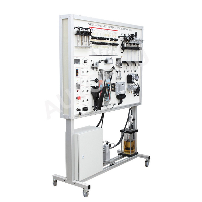 MSFSI02 Engine Management System Bosch Motronic (FSI)