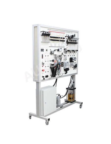 MSFSI02 Sistema de gestão do motor Bosch Motronic (FSI)