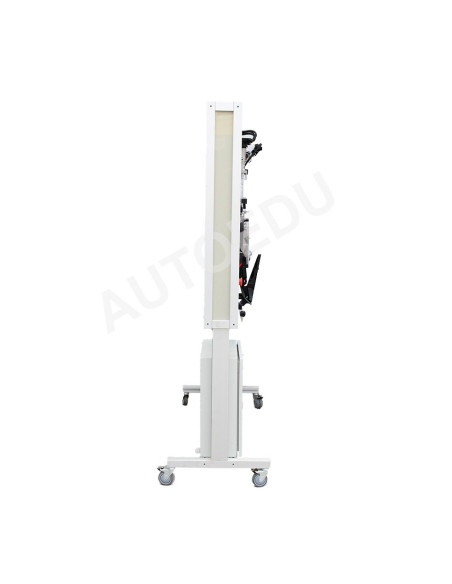 MSFSI02 Engine Management System Bosch Motronic (FSI)