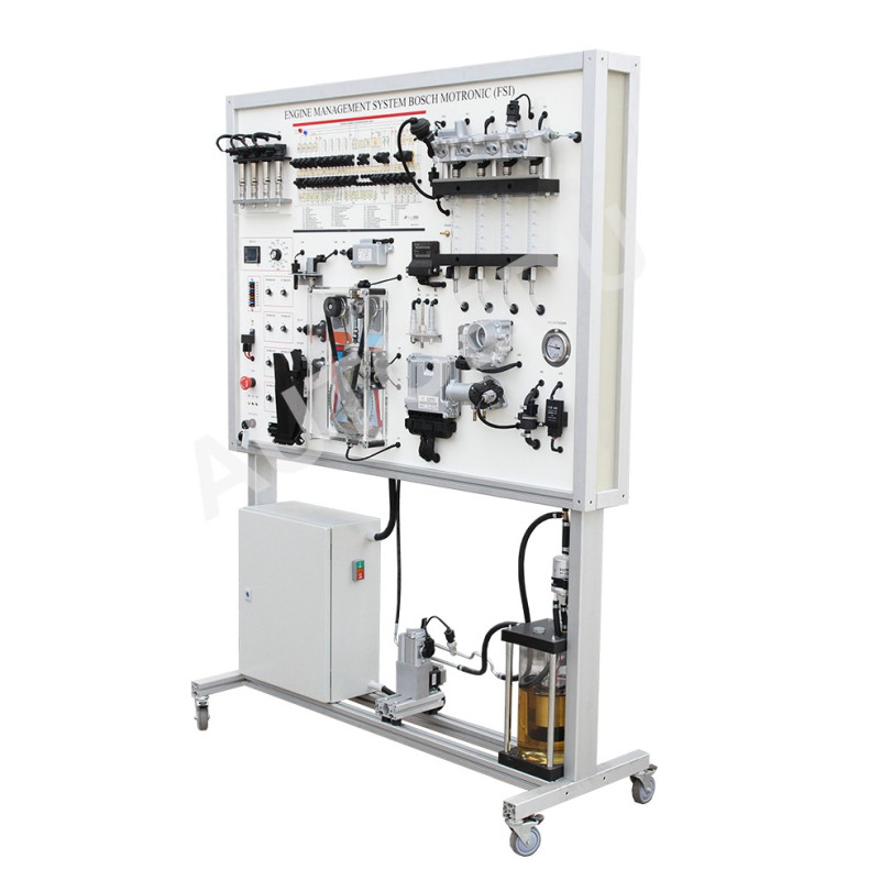 MSFSI02 Engine Management System Bosch Motronic (FSI)