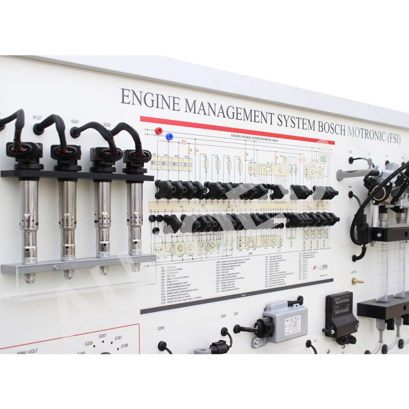 MSFSI02 Engine Management System Bosch Motronic (FSI)
