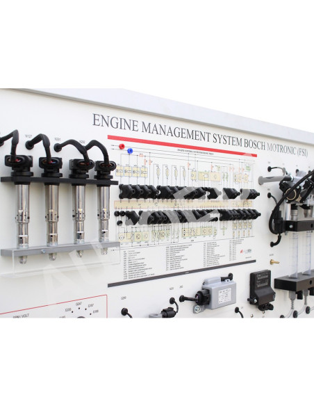 MSFSI02 Sistema de gestão do motor Bosch Motronic (FSI)